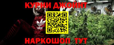 PSILOCYBIN Нальчик