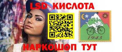 PSILOCYBIN Нальчик