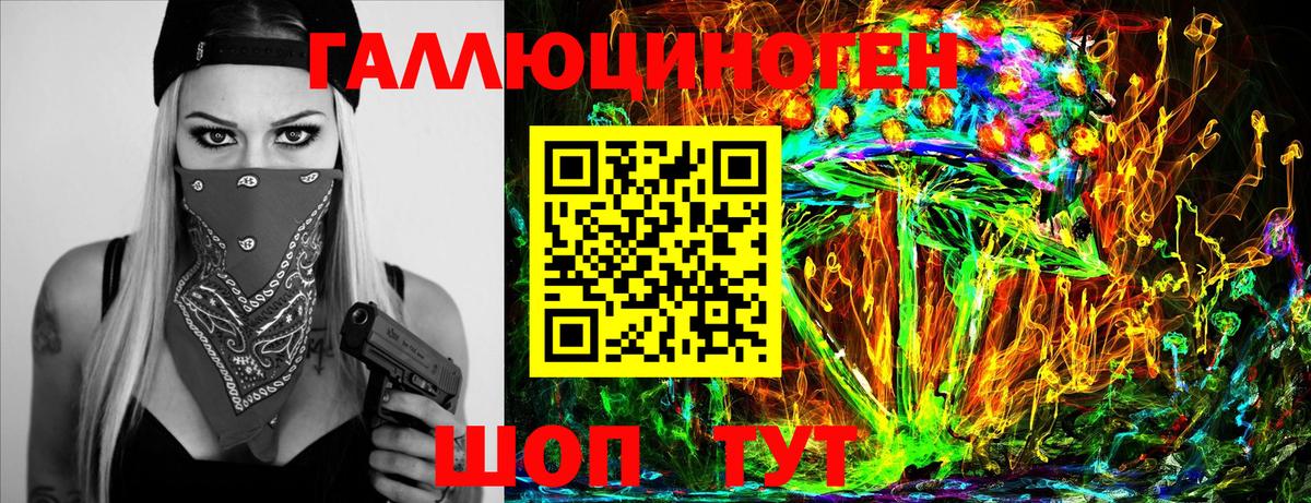 Черногорск  Псилоцибиновые грибы Psilocybe  Вход с VPN 